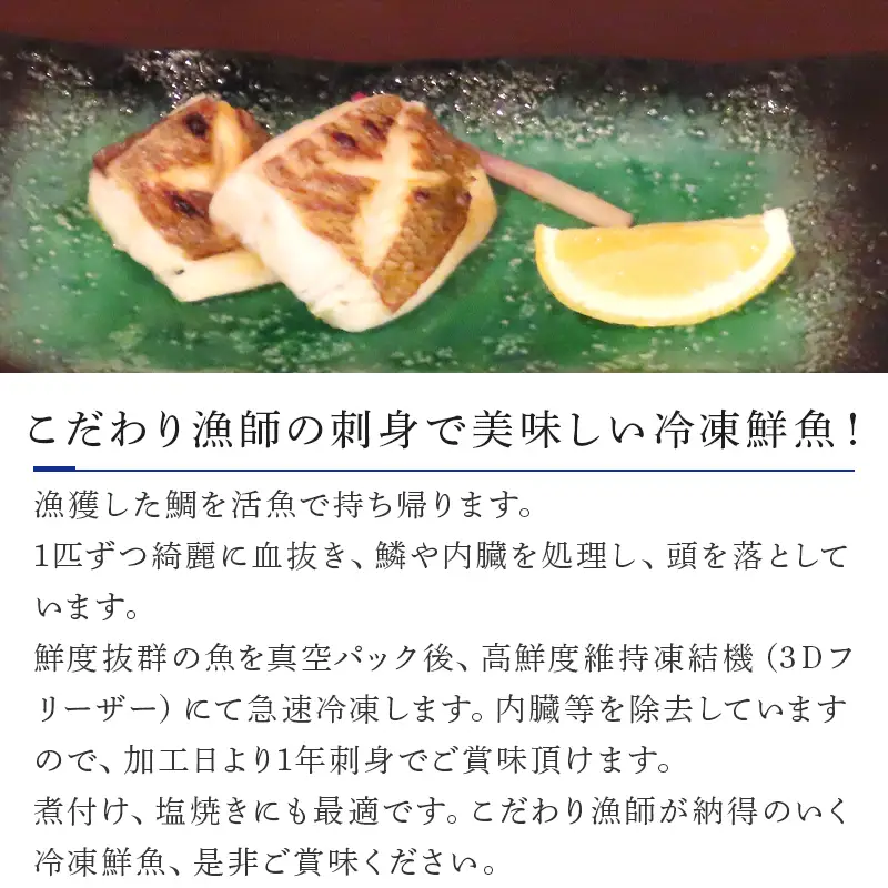 冷凍真鯛 2尾500g×2P(合計1kg)