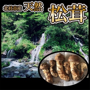 『極上天然松茸』（200ｇ）　山梨県北杜市産・朝採り・産地直送 [h019]