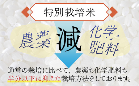 令和7年度産 特別栽培米 コシヒカリ 4kg 南越前町