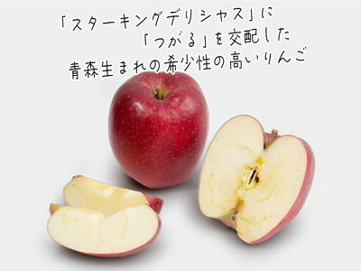 りんご おいらせ ヒバリノ園 青森県産 りんご【約5kg(6～10玉)】