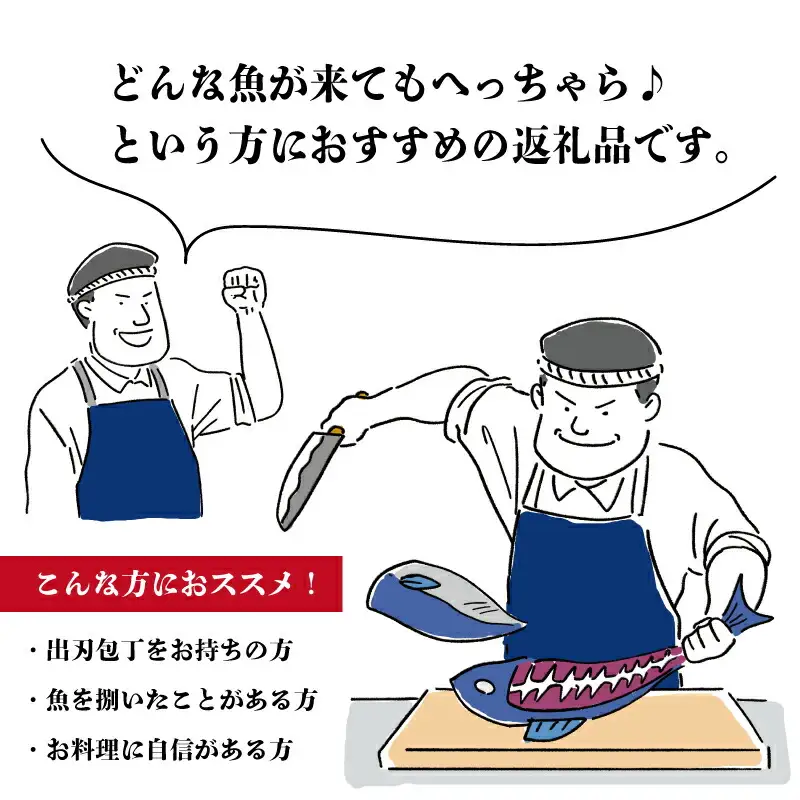 伊勢湾直送 なにが届くかな 明和の海産ガチャ Mサイズ 魚 貝 干物 海藻 新鮮 海鮮 海産 直送 海 漁師 おまかせ 旬 季節 お楽しみ 選べる内容量 U2