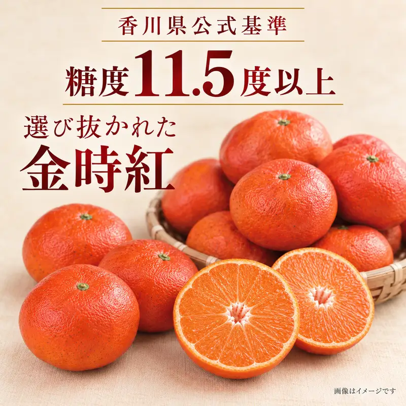小原紅早生みかん「金時紅」約3kg  ミカン 柑橘 糖度11度 甘い 果物類 柑橘類 フルーツ 蜜柑 くだもの