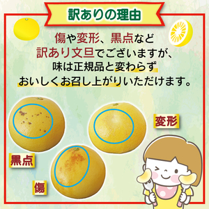 文旦 5kg 家庭用 文旦
