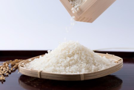 北海道産 特別栽培米 ななつぼし 万馬券 10kg
