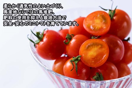＜ 9/15までの受付 ＞ 北海道産 ミニトマト 太陽の瞳 L サイズ 1kg 新ひだか町