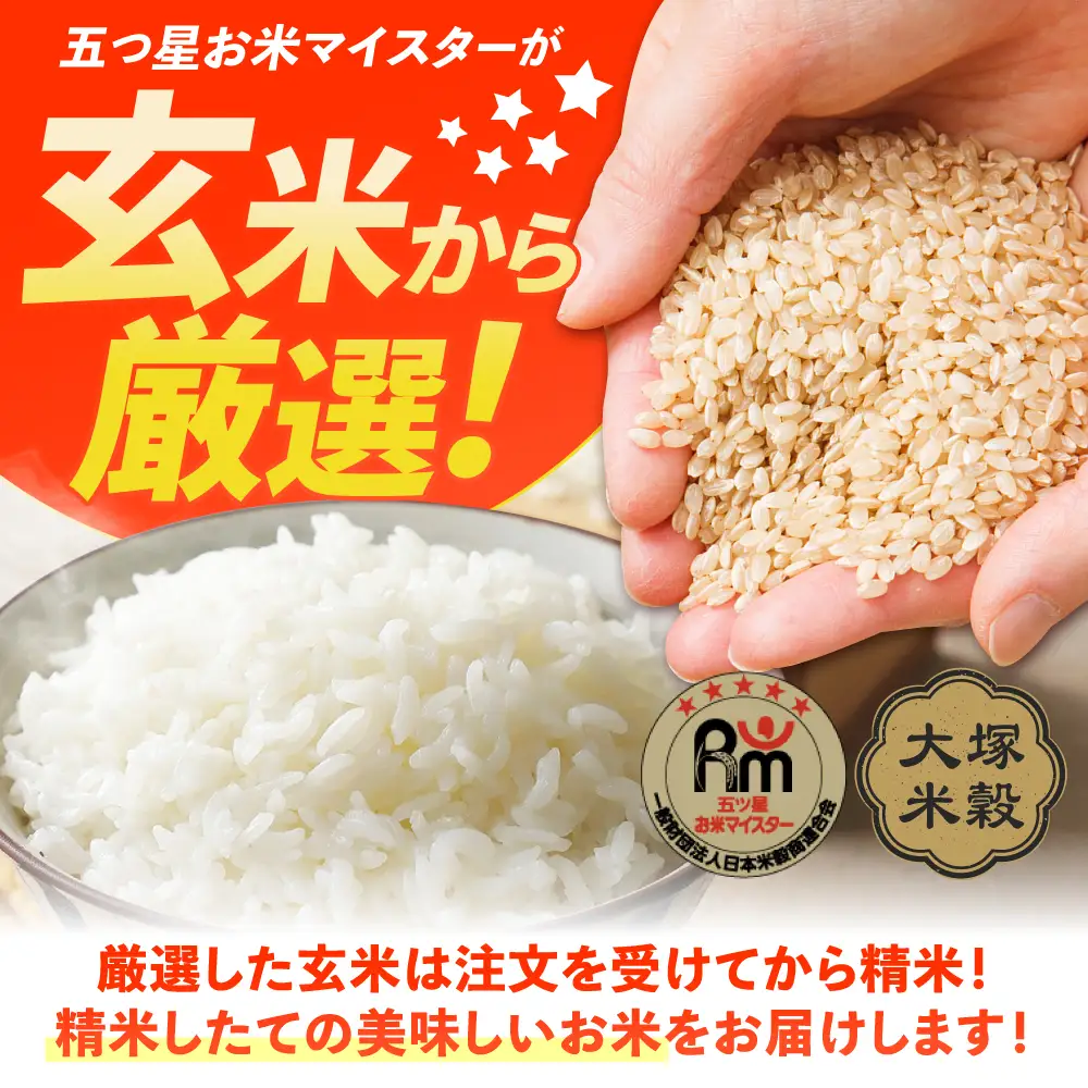 佐賀県産米 さがびより白米 6kg 米 お米 精米 ブランド米 白米 国産米[FCW003]