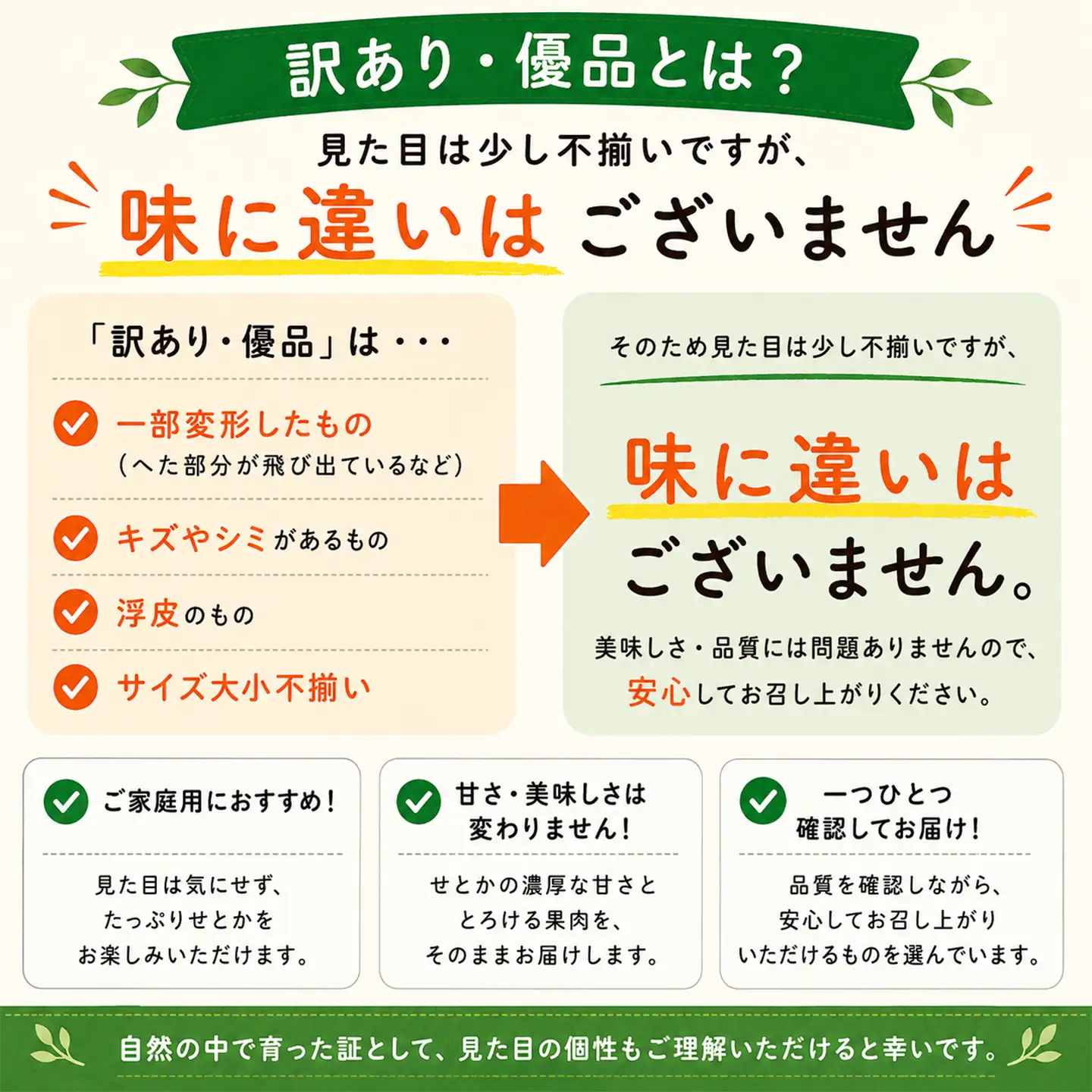 【2027年先行予約】 せとか 訳あり 2.5kg 柑橘 先行予約 野菜ソムリエ石児さん 豊予農場 ＜103-012＞