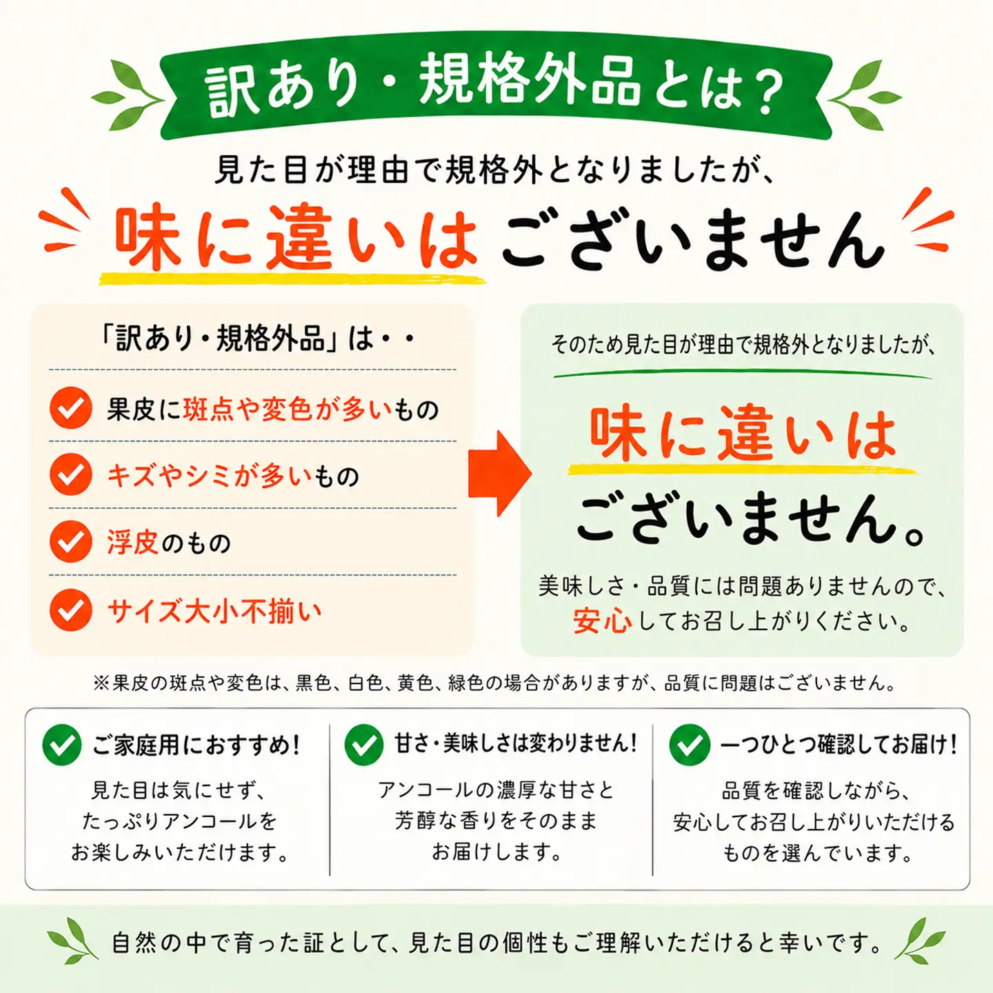 アンコール 訳あり 3.5kg 規格外 ミカン 柑橘 2027年発送 先行予約 ／ 野菜ソムリエ石児さんの「アンコール 3.5kg」＜103-017＞