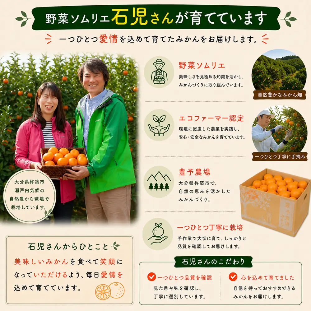 温州みかん 10kg 特選 甘い 柑橘  先行予約 ／ 野菜ソムリエ石児さんの「特選 温州みかん 10kg」＜103-007＞