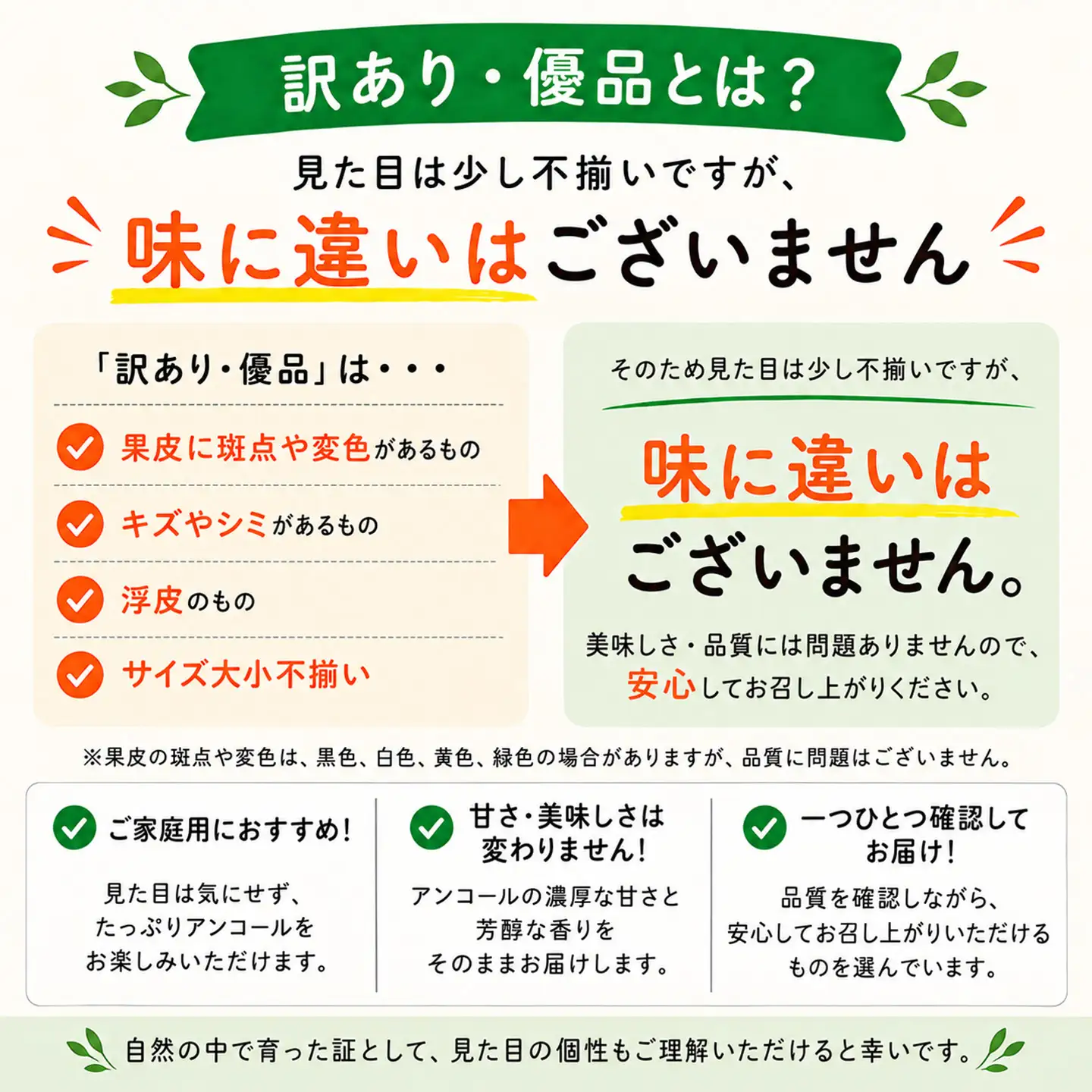 アンコール 訳あり 10kg 優品 ミカン 柑橘 2027年発送 先行予約 ／ 野菜ソムリエ石児さんの「アンコール 10kg」＜103-020＞