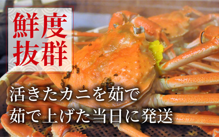 【先行予約】越前がに 大 (約1.1kg以上)×1杯【11月～12月発送】日本海 直送