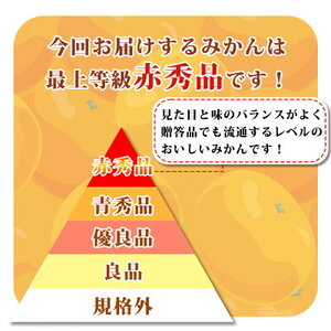 【2027年先行予約】紀州和歌山 ハウスみかん 2.5kg 赤秀品_G6029