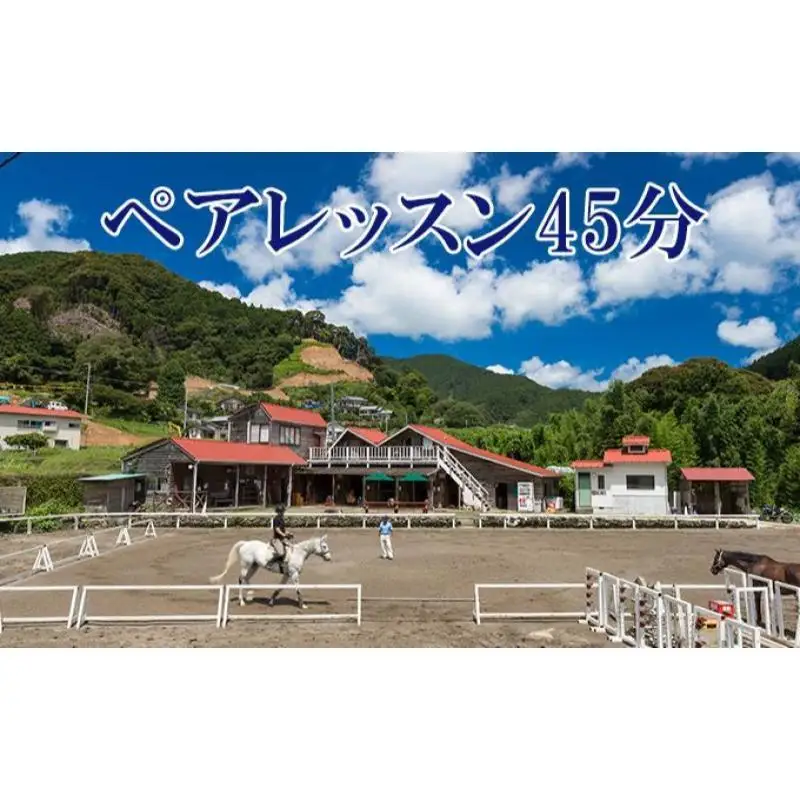 乗馬体験 伊豆 ペアレッスン 45分 天城 子供 大人 乗馬体験