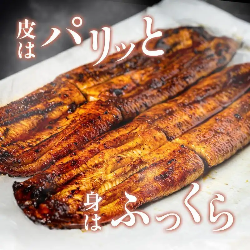 食事券 10000円分 河津大川屋うなぎ 国産 うなぎ 食事券