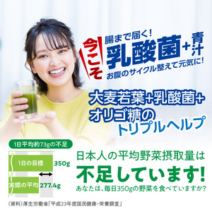 【乳酸菌プラス】山本漢方の大麦若葉粉末(60スティック入り) [027Y05]