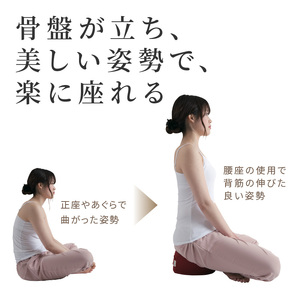 自動車シートメーカーが追求した最幸の座り心地　正座・あぐら用クッション「腰座」(色・サイズ選択)　[023M05]