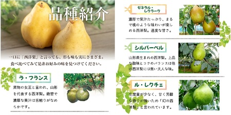 SA3077　六代多右エ門　西洋梨 おまかせ3品種　約3kg(8～9玉) 