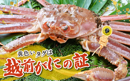 【先行予約】【12月発送限定】茹で越前がに  1杯 1.1kg～1.3kg《新鮮！茹でたてを発送》／ 高級 福井 ブランド ズワイガニ 黄色タグ ボイル 冷蔵 蟹 カニ 期間限定【年内発送 12月23日まで】※2026年12月上旬～2026年12月25日で発送 [aw002-x004_12]