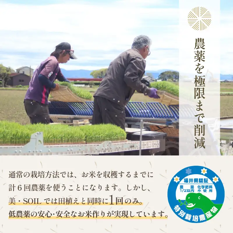 【令和8年産】《定期便6回》5kg×6回 30kg 特別栽培米 あきさかり 無洗米 低農薬 《食味値85点以上！こだわり極上無洗米》  / 福井県 あわら 北陸 米 お米 人気 [aw032-h006]