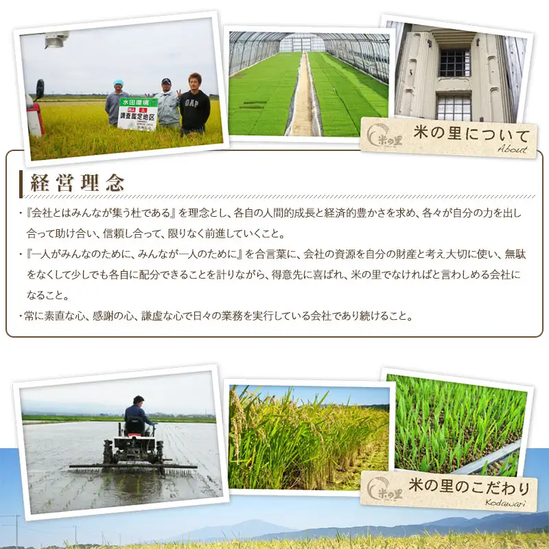 【令和8年産 新米】 米の里の特別栽培米 つや姫 精米 5kg　山形県鶴岡市産 | 白米 特栽 ブランド米 庄内 2026年産　K-845