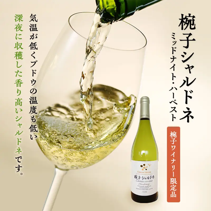 ワイン 限定 椀子ヴィンヤードを味わう贅沢 2本 セット ワイン