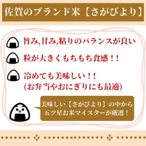 CID44_【３回定期便】さがびより 【玄米】５kg 【五つ星お米マイスター厳選！】