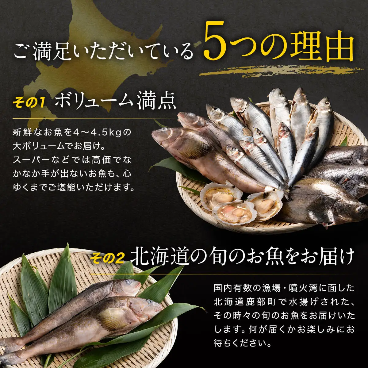 北海道 冷凍鮮魚セット 最大4.5kg 下処理済み 4～5種 ホタテが必ず入る 魚 詰め合わせ 訳あり