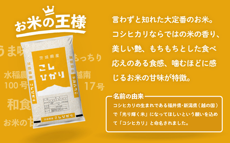 【精米】コシヒカリ 20kg 白米 20kg(5kg×4袋) ブランド米