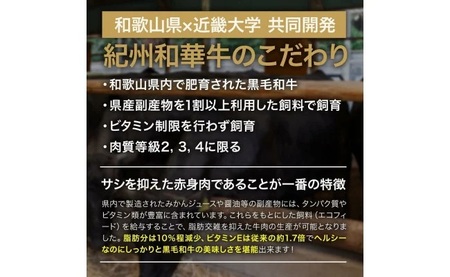 【紀州和華牛】すき焼き懐石 300g_BN6108