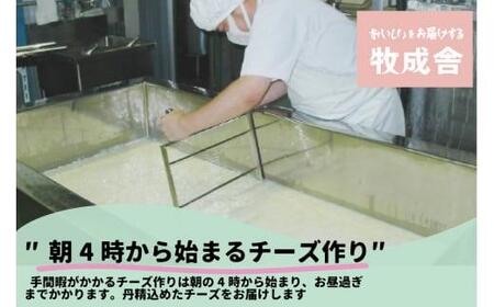 【寄附額見直しました！】＜牧成舎＞ご当地チーズグランプリ 最高金賞受賞 牛乳屋のこだわりモッツァレラチーズ 2種セット（5個入り） DF015