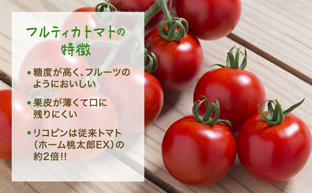 トマト 中玉 フルティカ 樹上完熟 農家直送 トマト【1.5kg】