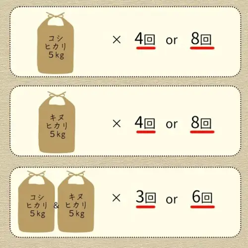 【4回定期便】米 コシヒカリ 5kg 定期便 精米 白米