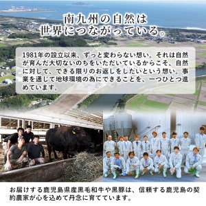 鹿児島県産黒豚切り落とし＜計2.4kg(300ｇ×8P)＞ a6-002