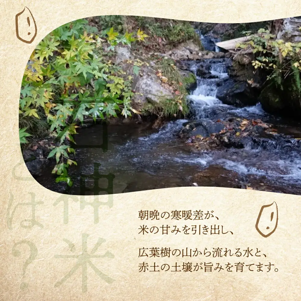 令和8年産 米 石神米 コシヒカリ5kg / 新米 米 コシヒカリ