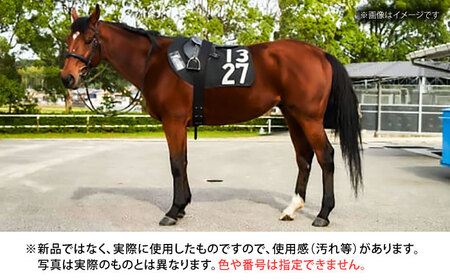 JRA】調教用ゼッケンと騎手サイン色紙 (栗東カラー) BIAM003 競馬