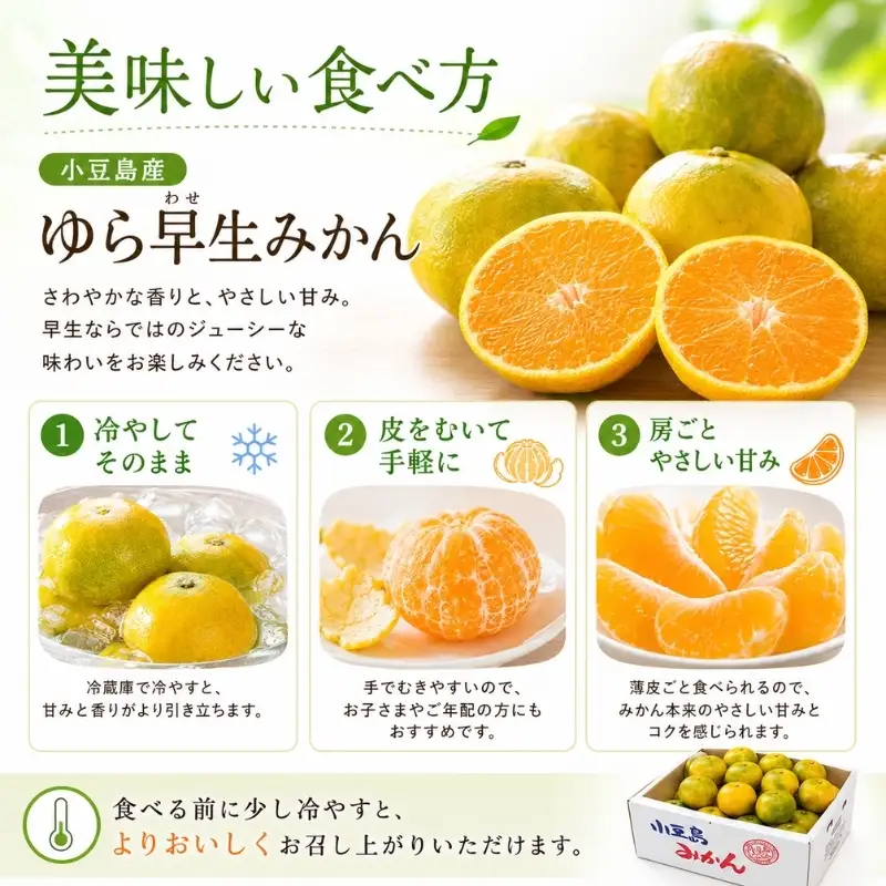 みかん 柑橘 ゆら早生 小豆島産 みかん【約5kg】