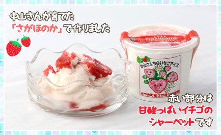 AE034_農家が考えたなめらかアイス１２個（いちご＆黒豆抹茶）