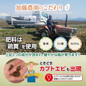 SC0675　【令和8年産 新米予約】［精米］特別栽培米 雪若丸　10kg(5kg×2袋)「農家直送」 KA