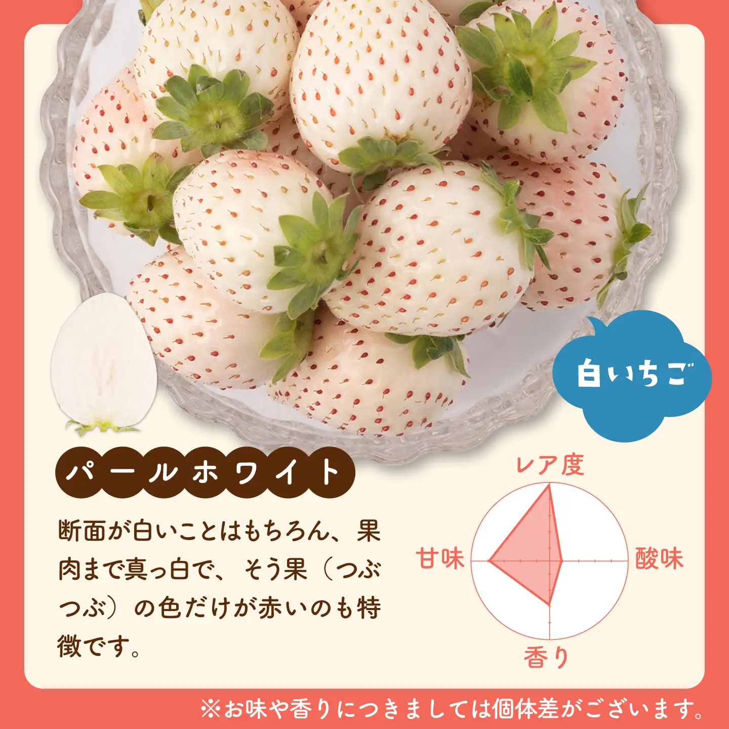 【先行予約 2027年1月～発送】赤白いちご「いちごさん」240g＆「パールホワイト」220gセット / いちご IBG002