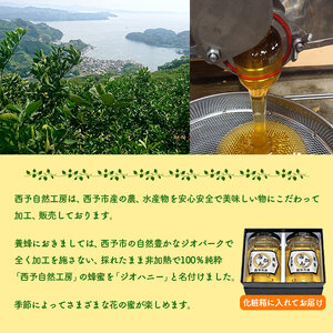 みかん蜂蜜「ジオハニー」170g×２瓶（化粧箱入り） USS0003