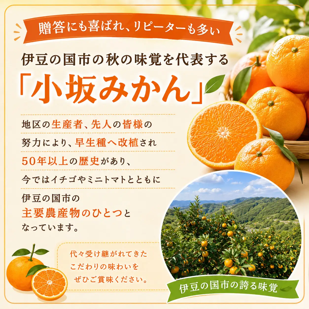 【先行予約・数量限定】みかん農園直送！生産者厳選「小坂みかん」（約9kg）