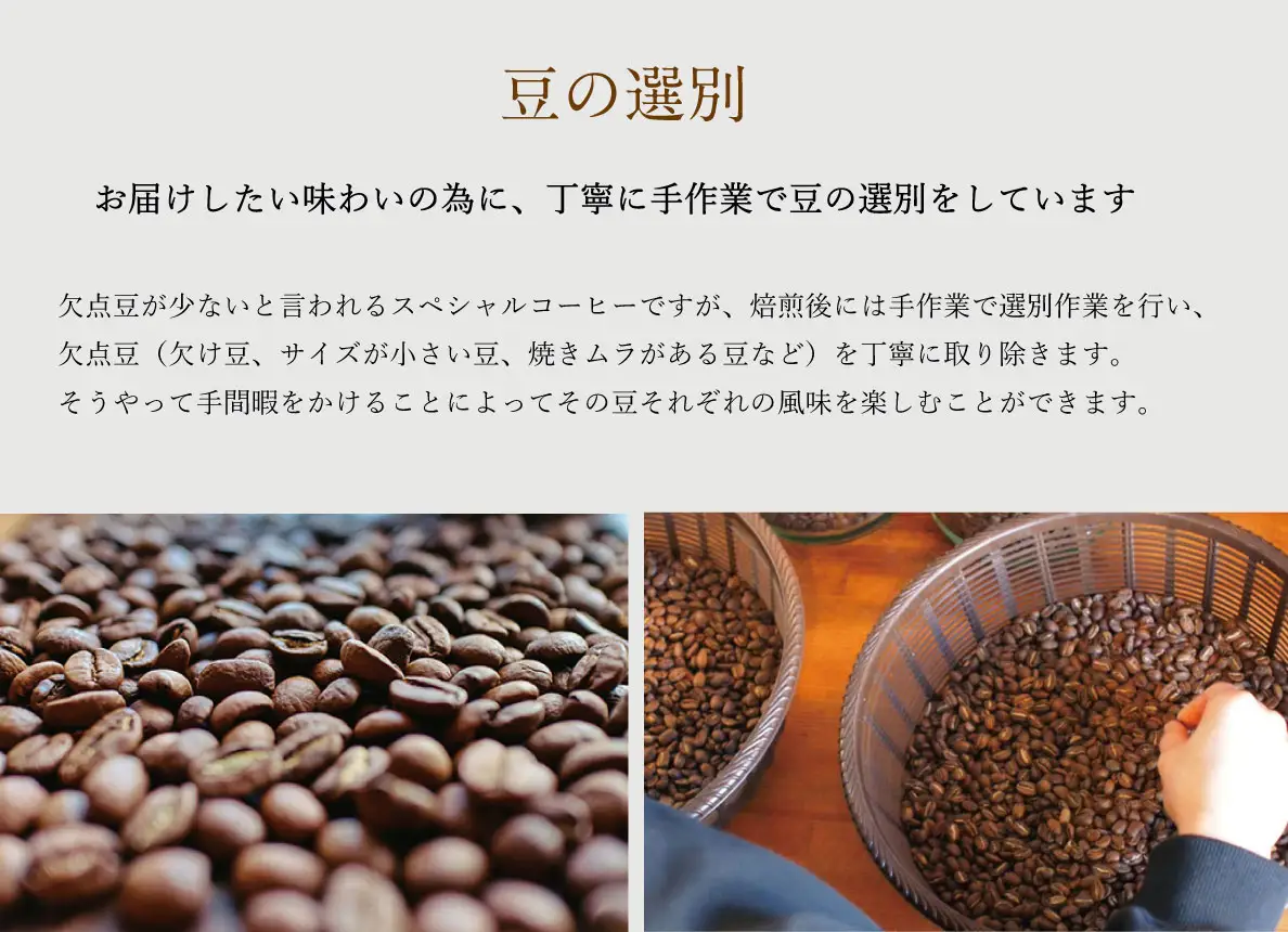 【1ヶ月ごとの定期便】 OTOMONI COFFEE 店主 お勧め 豆をお届け！ ２５０g×２袋「粉」OT6 コーヒー 珈琲 焙煎 自家焙煎 豆 粉 COFFEE おすすめ くつろぎ おうち時間 定期便 M1639-0