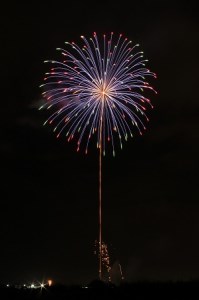 岐阜県大垣市で堪能するプライベート花火 2～4号玉 合計15発（1～2分程度） 