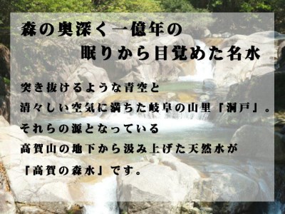 高賀の森水 5年保存水 2000ml×12本 S10-22