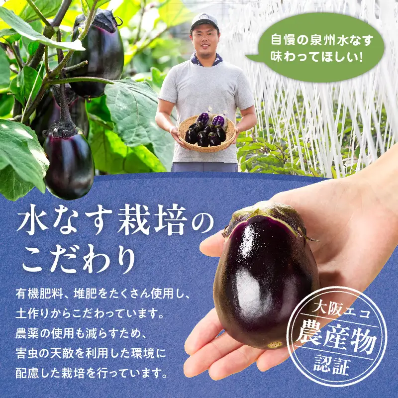 【先行予約】特選 無添加 水なす漬け 徳用水ナス セット