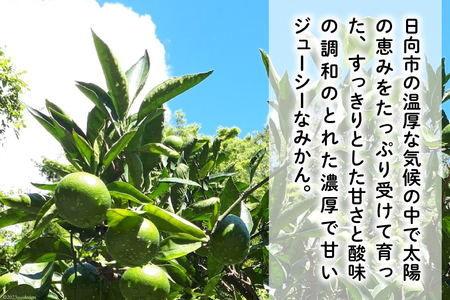 【期間限定発送】踊るおいしさ！甘くてジューシー 温州みかん 5kg