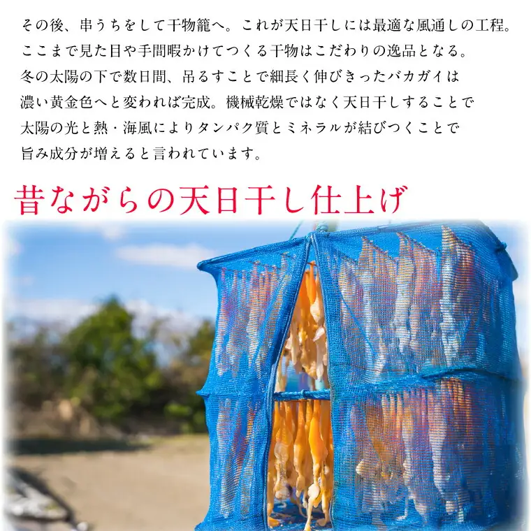 青柳姫貝（珍味）貝 バカガイ 干物 I8