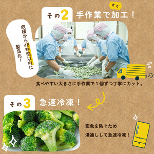 【全3回】鹿児島県産 冷凍ブロッコリー＜計3.6kg＞(200g×6袋×3ヶ月) t0030-030