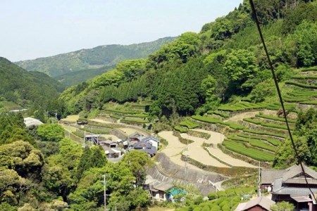 上煎茶 白折 三十四代 太郎五郎久家茶園 100g×4袋_上煎茶 白折 三十四代 太郎五郎久家茶園 100ｇ × 4袋 普段使い 煎茶 香り高い さっぱり 渋味 食事 相性抜群 こだわり 露地栽培 職人 味 こだわり カテキン ポリフェノール 八女茶 緑茶 お茶 日本茶 お取り寄せ ご当地茶 福岡県 久留米市 送料無料 〔Ex206〕