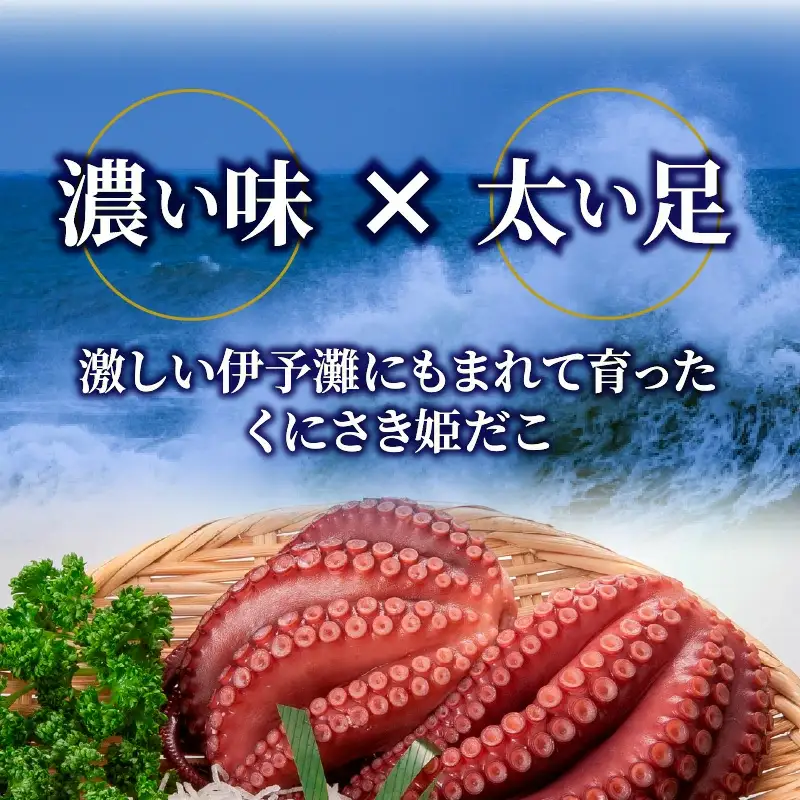 旨味凝縮！姫だこキムチ300ｇ×4パック _1647R